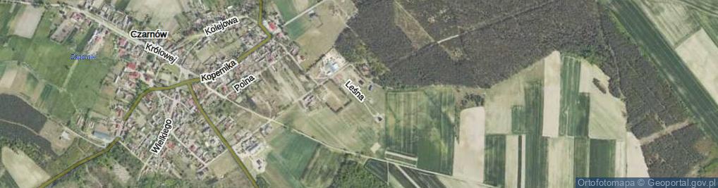 Zdjęcie satelitarne Leśna ul.