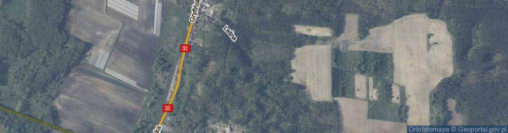 Zdjęcie satelitarne Leśna ul.