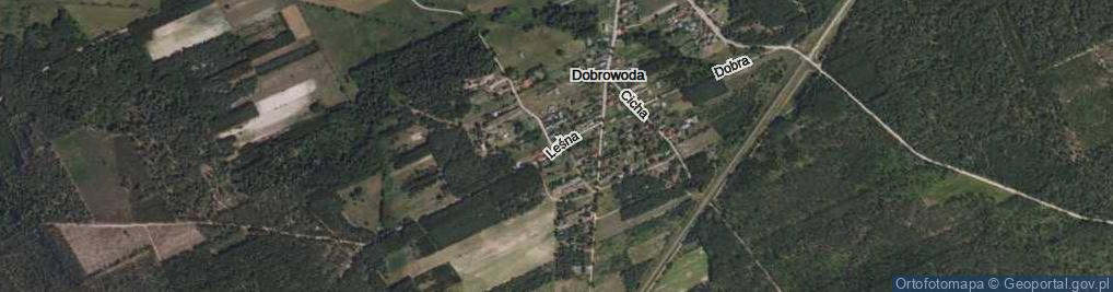 Zdjęcie satelitarne Leśna ul.