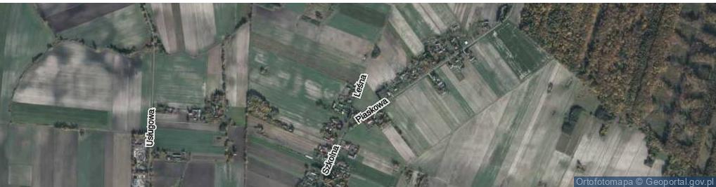 Zdjęcie satelitarne Leśna ul.