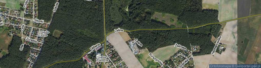 Zdjęcie satelitarne Leśna ul.