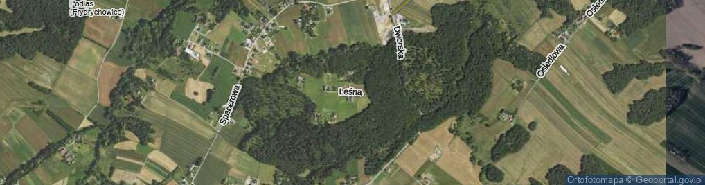 Zdjęcie satelitarne Leśna ul.