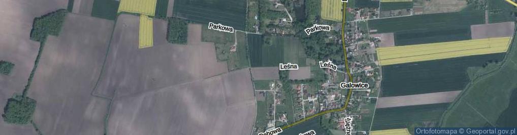 Zdjęcie satelitarne Leśna ul.
