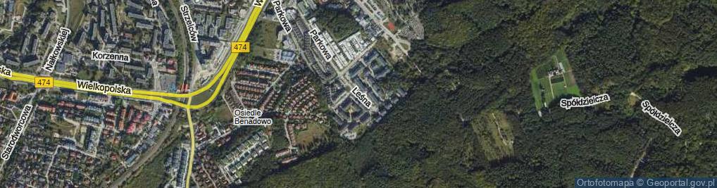 Zdjęcie satelitarne Leśna ul.