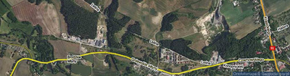 Zdjęcie satelitarne Leśna ul.