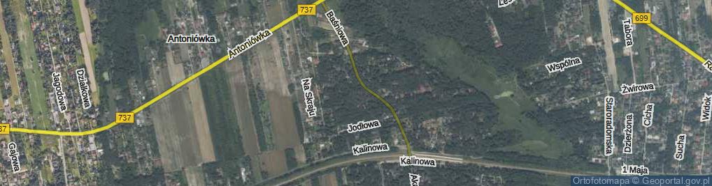 Zdjęcie satelitarne Leśny Zaułek ul.