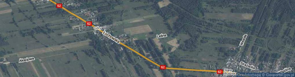 Zdjęcie satelitarne Leśna ul.