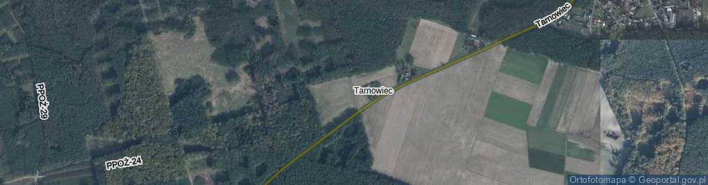 Zdjęcie satelitarne Leśnictwo Tarnowiec ul.