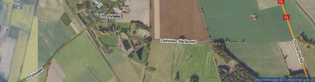 Zdjęcie satelitarne Leśnictwo Marianowo ul.