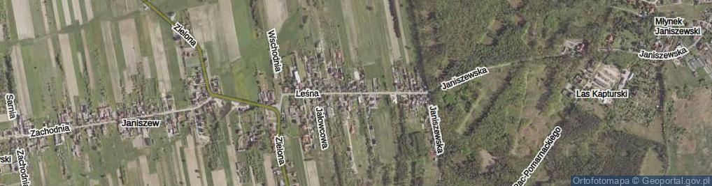 Zdjęcie satelitarne Leśna ul.