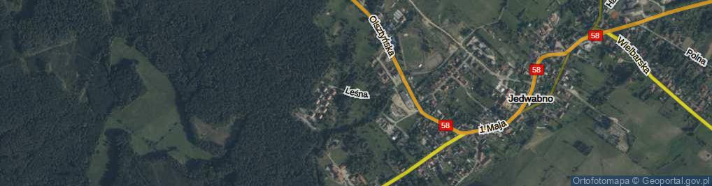 Zdjęcie satelitarne Leśna ul.