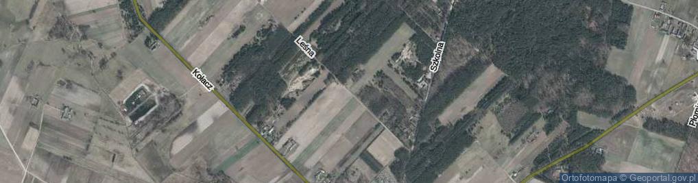 Zdjęcie satelitarne Leśna ul.