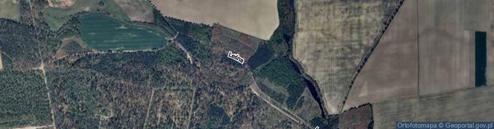 Zdjęcie satelitarne Leśna ul.