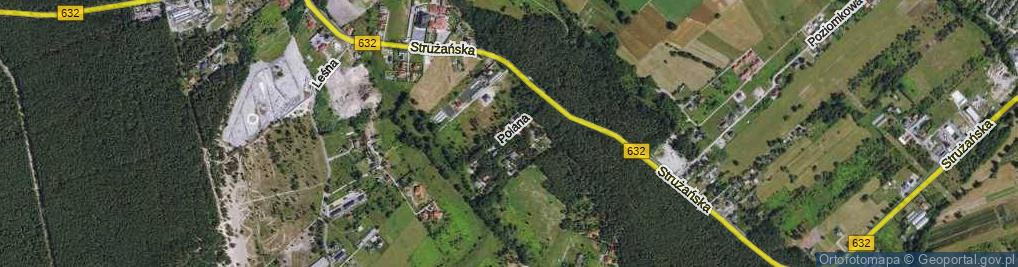 Zdjęcie satelitarne Leśna Polana ul.