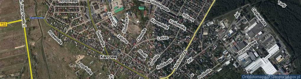 Zdjęcie satelitarne Leśna ul.