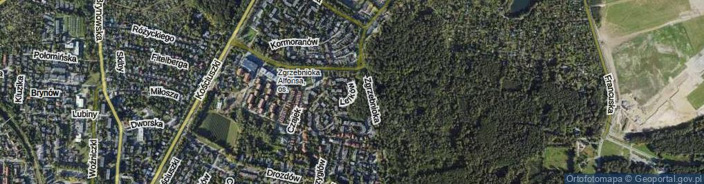 Zdjęcie satelitarne Lelków ul.