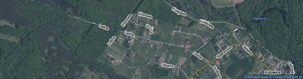 Zdjęcie satelitarne Leśna ul.