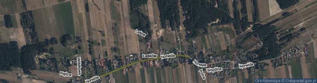 Zdjęcie satelitarne Leśna ul.