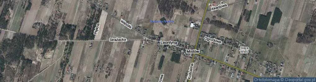 Zdjęcie satelitarne Leontyna ul.
