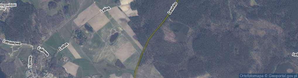 Zdjęcie satelitarne Lewinko ul.