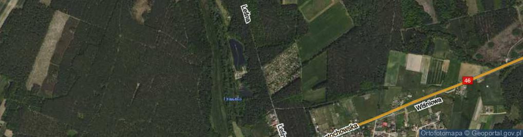 Zdjęcie satelitarne Leśna ul.