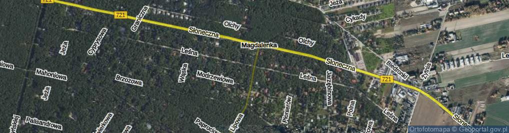 Zdjęcie satelitarne Leśna ul.