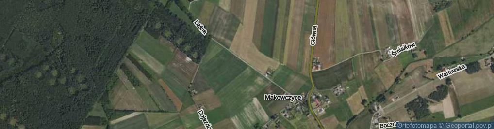 Zdjęcie satelitarne Leśna ul.