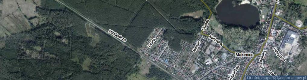 Zdjęcie satelitarne Leśna ul.