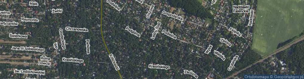 Zdjęcie satelitarne Leśny Ślad ul.