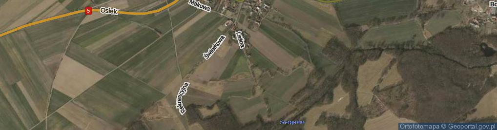 Zdjęcie satelitarne Leśna ul.