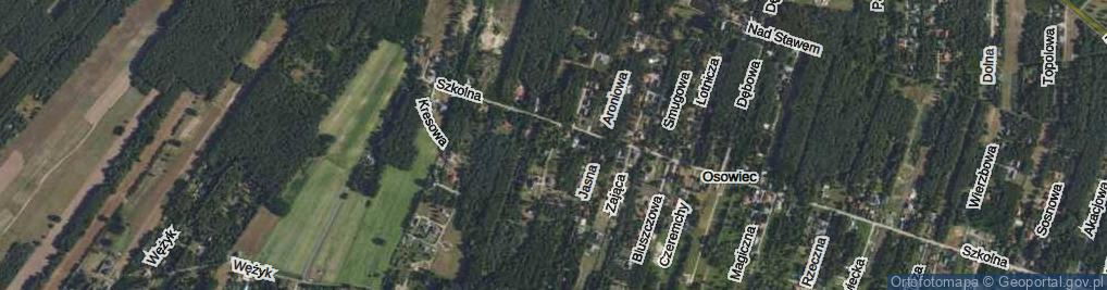 Zdjęcie satelitarne Leśnej Ciszy ul.