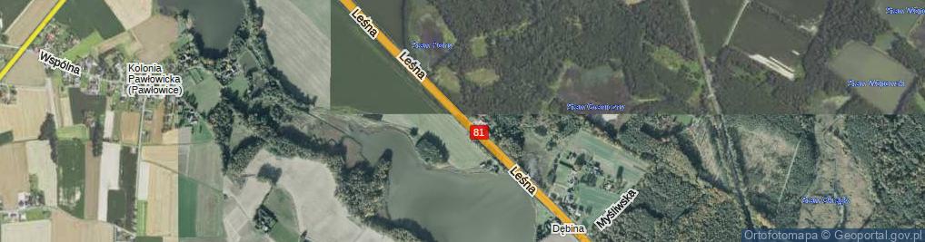 Zdjęcie satelitarne Leśna ul.