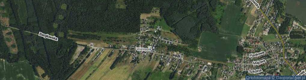 Zdjęcie satelitarne Leśna ul.