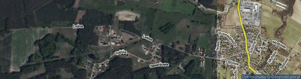Zdjęcie satelitarne Leśna ul.