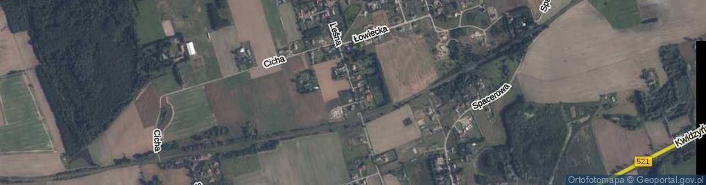 Zdjęcie satelitarne Leśna ul.