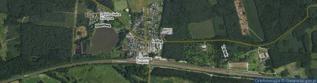 Zdjęcie satelitarne Leśna ul.