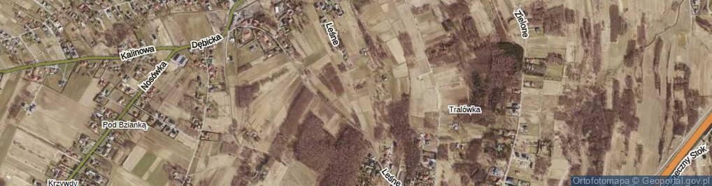 Zdjęcie satelitarne Leśne Wzgórze ul.