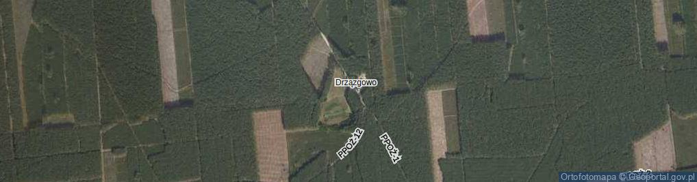 Zdjęcie satelitarne Leśnictwo Drzązgowo ul.