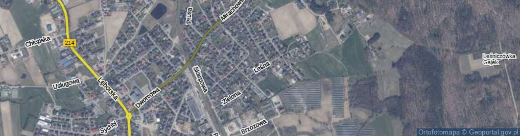 Zdjęcie satelitarne Leśna ul.