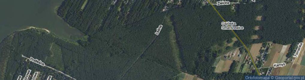 Zdjęcie satelitarne Leśna ul.