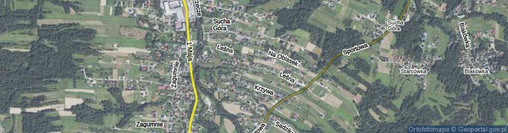 Zdjęcie satelitarne Leśna ul.