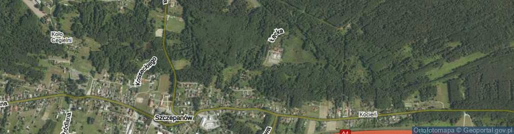 Zdjęcie satelitarne Łęcka ul.