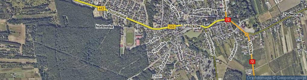 Zdjęcie satelitarne Leśna ul.