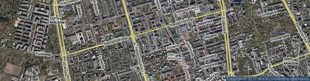 Zdjęcie satelitarne Lewicka ul.