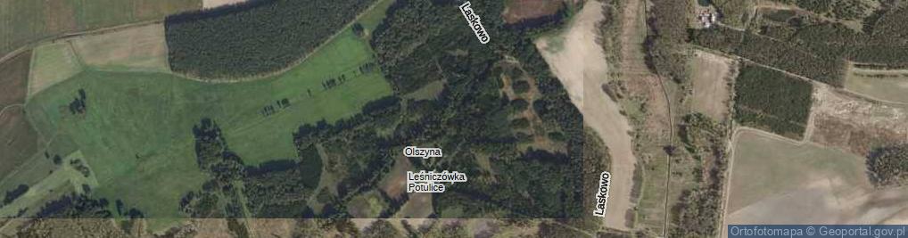 Zdjęcie satelitarne Leśnictwo Olszyna ul.