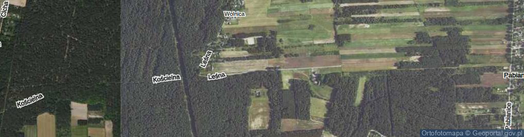 Zdjęcie satelitarne Leśna ul.