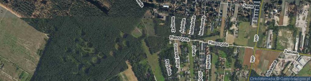 Zdjęcie satelitarne Leśnych Ptaków ul.