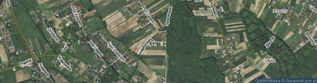 Zdjęcie satelitarne Leszczynowa ul.