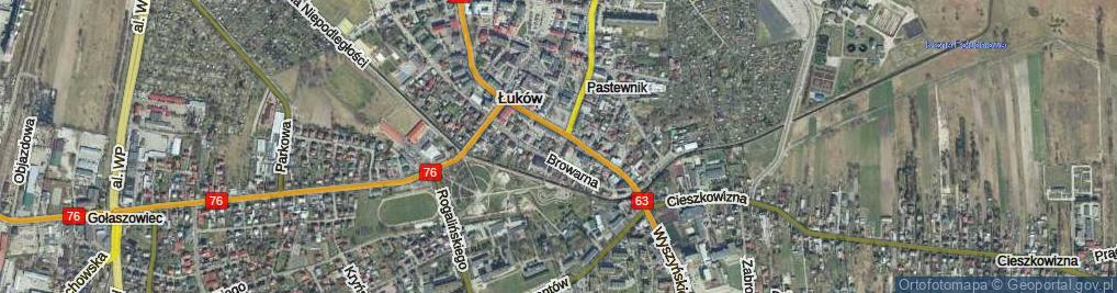 Zdjęcie satelitarne Lewickiego Stanisława ul.