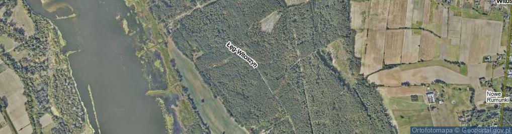 Zdjęcie satelitarne Łęg-Witoszyn ul.